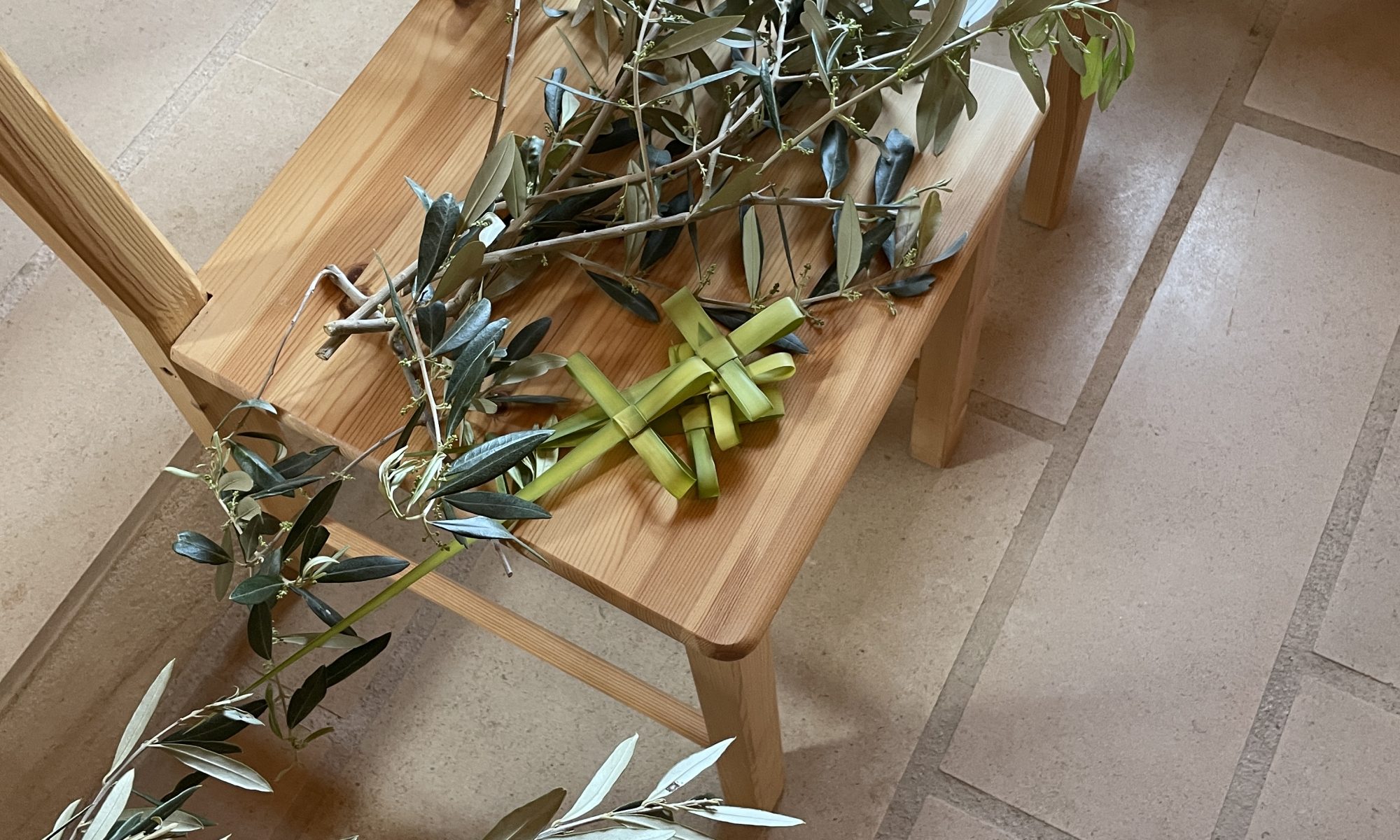 Branche d'Olivier et Crucetta